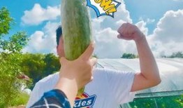 瓜瓜吃瓜ppt 今日吃瓜热门大瓜必看大瓜网红,今日热门大瓜，网红必看盘点